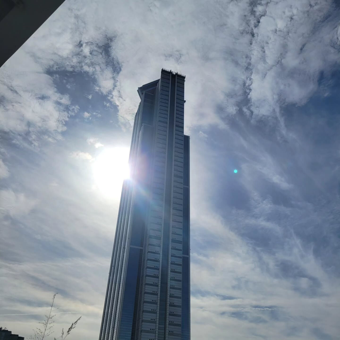 🏢 大阪府庁 咲洲庁舎へ！