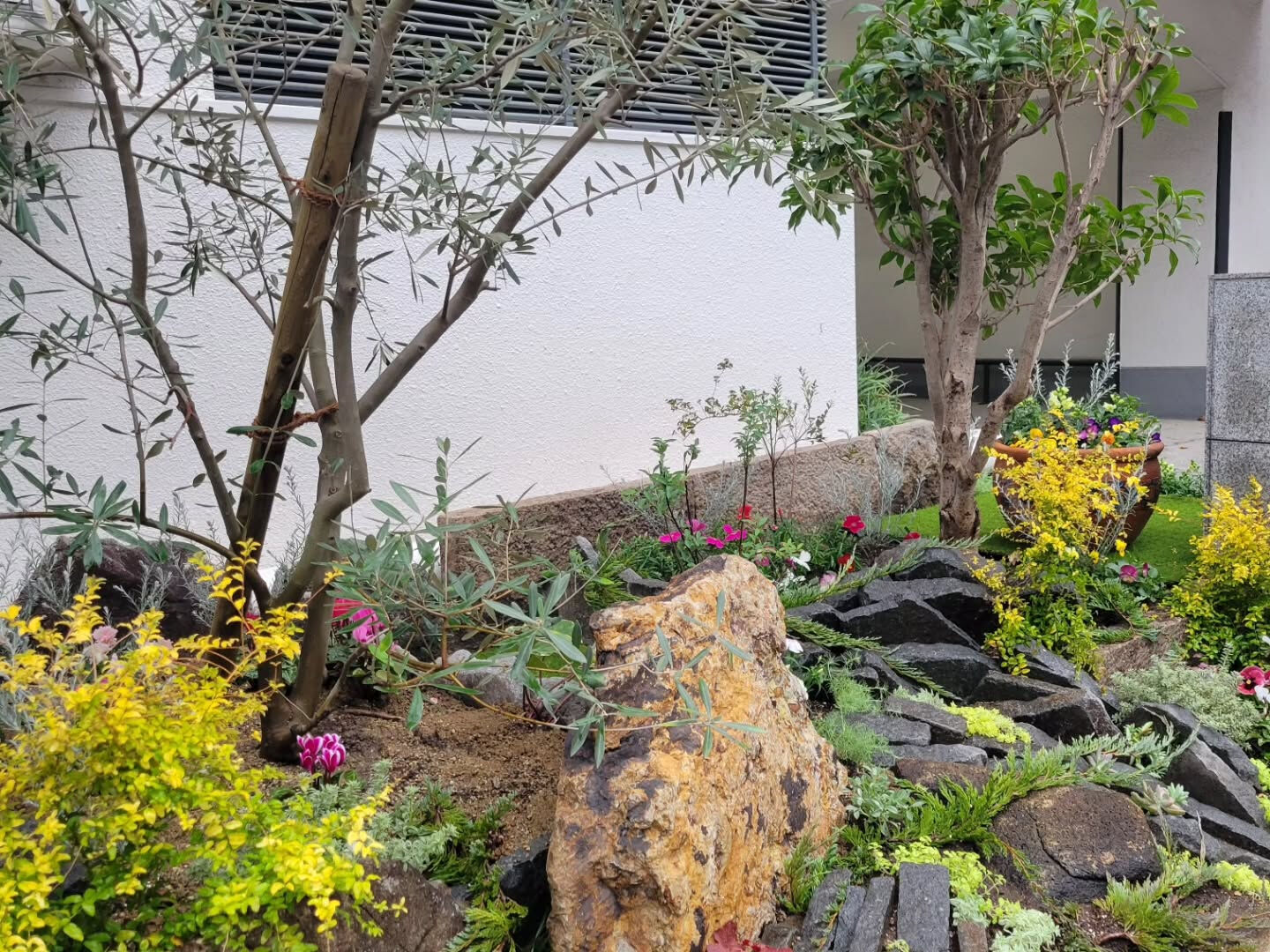今日は事務所前の花壇に花屋さんが来てお花を可愛く植えて戴きま