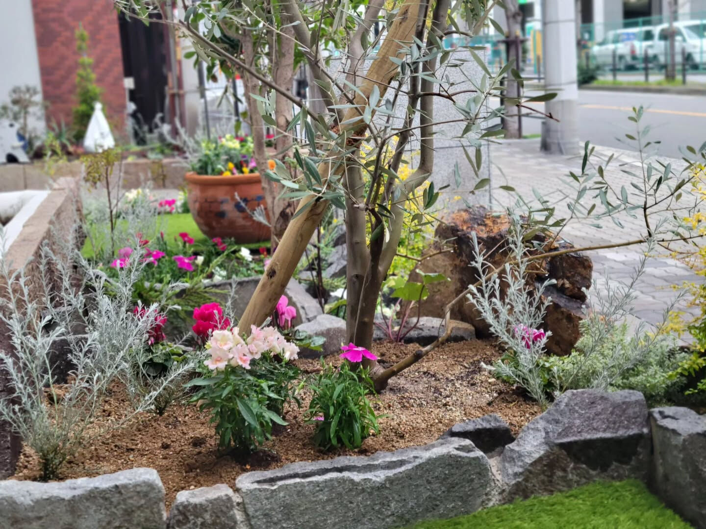 今日は事務所前の花壇に花屋さんが来てお花を可愛く植えて戴きま