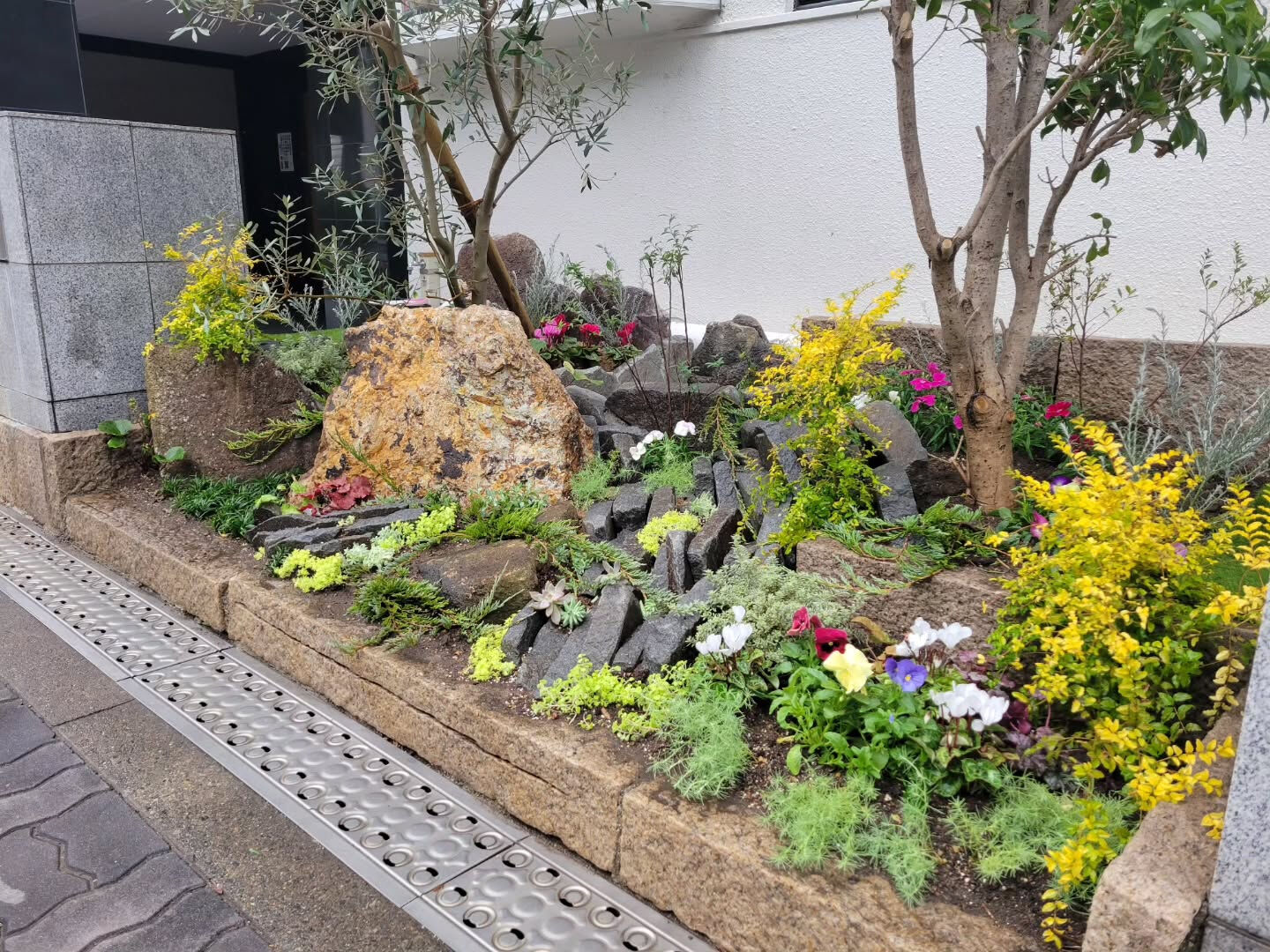 今日は事務所前の花壇に花屋さんが来てお花を可愛く植えて戴きま