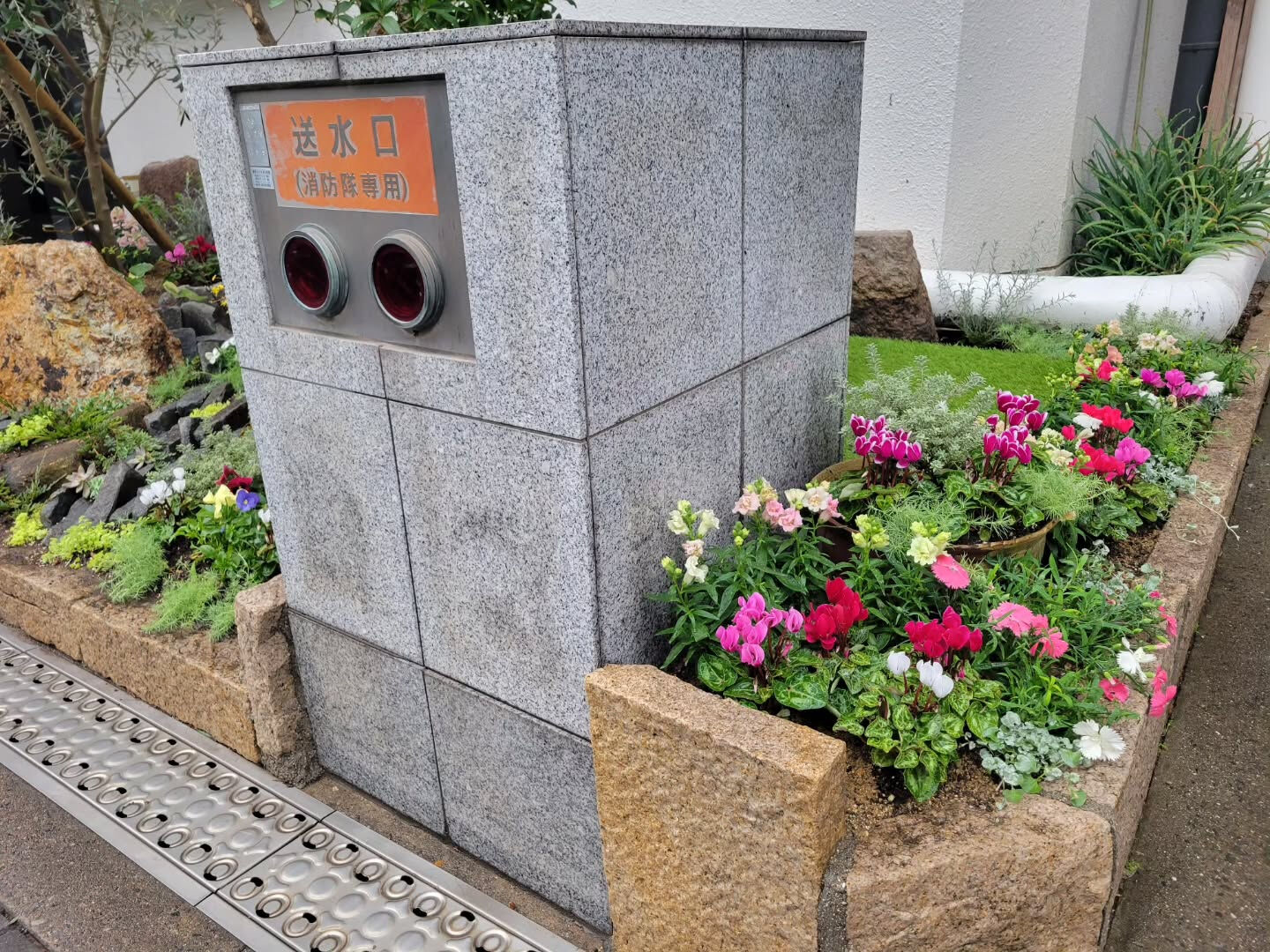 今日は事務所前の花壇に花屋さんが来てお花を可愛く植えて戴きま
