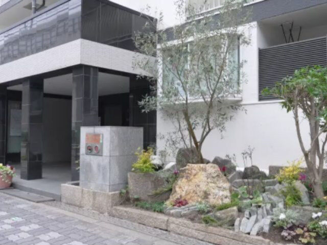 今日は事務所前の花壇に花屋さんが来てお花を可愛く植えて戴きま