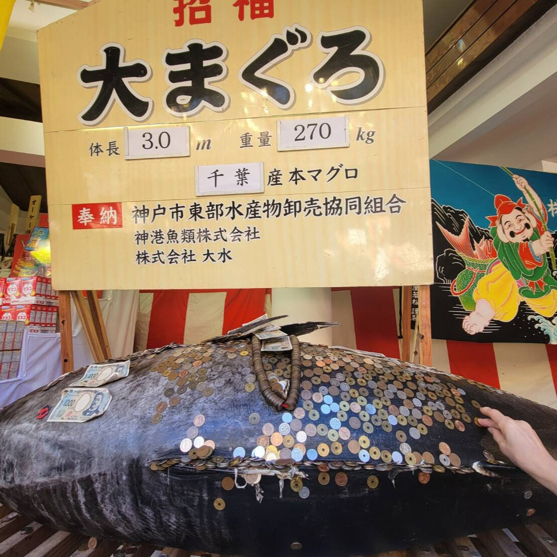 今日は西宮神社の十日戎に参拝し、商売繁盛を祈願してきました✨